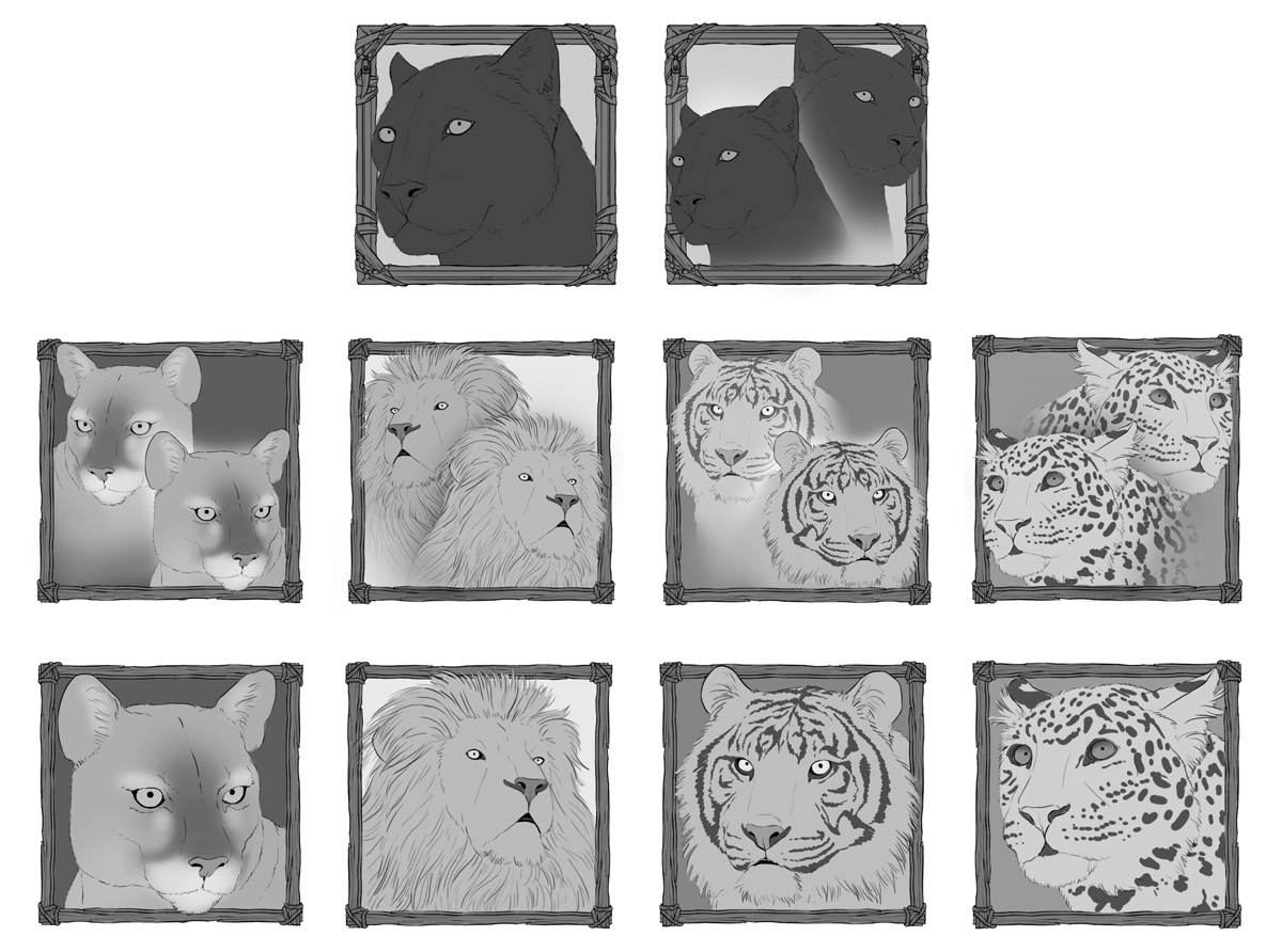 cats-of-the-world_mid-sketches