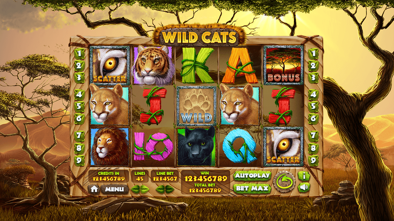 wild-cats_main-game