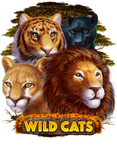 wild-cats_preview