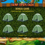 camptowncash_bonus_game-1