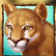 wild-cats_animation_cougar
