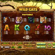 wild-cats_paytable2