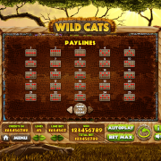 wild-cats_paytable4