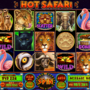 hot_safari_reels_night