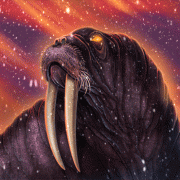 arctic-animation-walrus