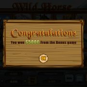 wild_horse_popup-4