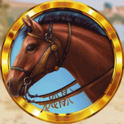 western_anim_horse