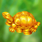 eastern-riches_turtle