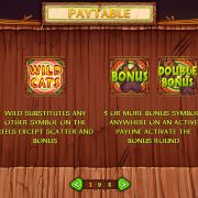 wild_cats_paytable-1