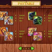wild_cats_paytable-2