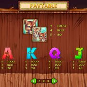 wild_cats_paytable-3