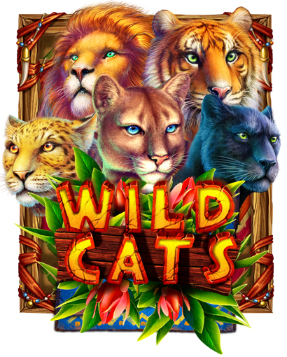 wild_cats_preview