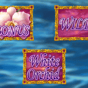 white_orchid_symbols-1