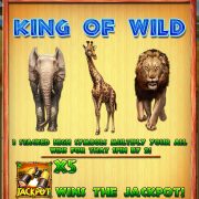 king_of_wild_rule
