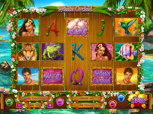 Palm Beach Casino Mayfair | The Rules Of Slot Machines In Internet Online