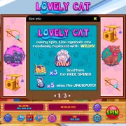 lovely_cat_desktop_info