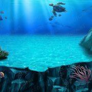 undersea_adventures_background