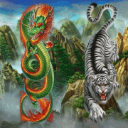 tiger_and_dragon_symbols_wild