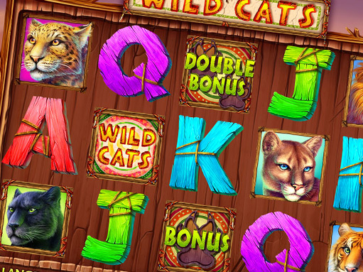 wild_cats_blog_preview
