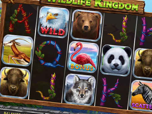 wildlife_kingdom_blog_preview