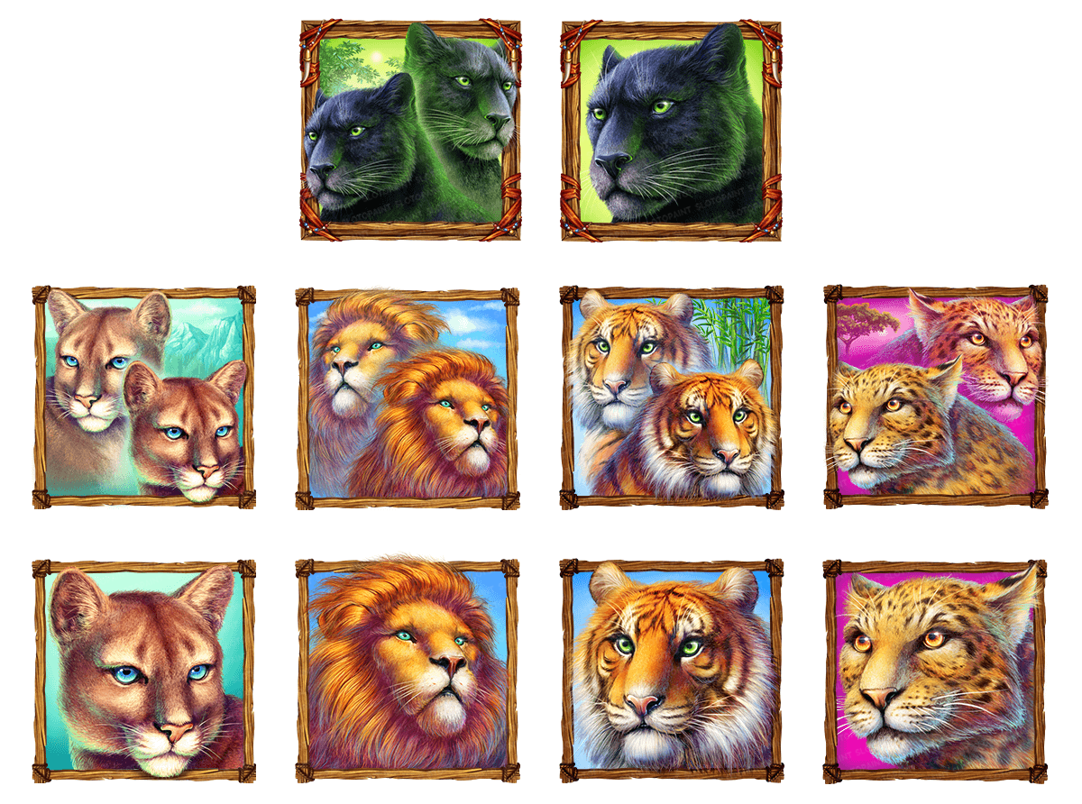 cats-of-the-world_mid-symbols