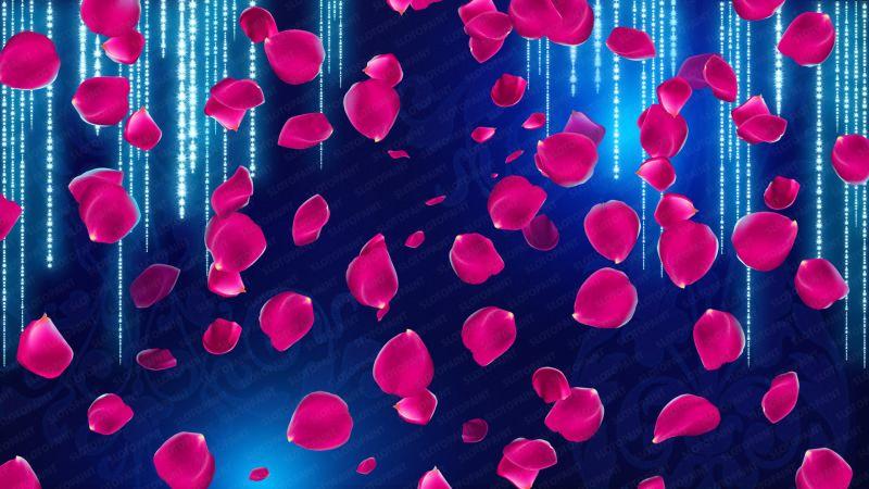 Crazy Fruits - Image 3