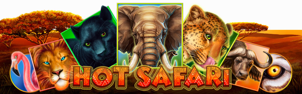 Hot Safari big