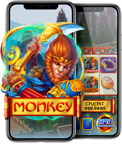 Monkey
