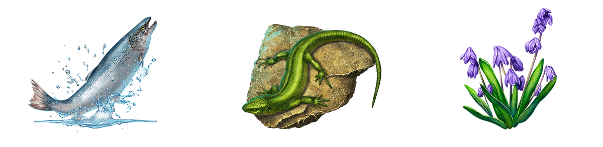 siberian_tiger_symbols-mid