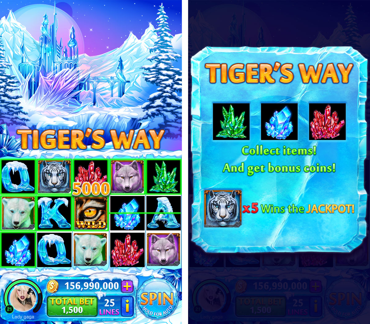 Tigers way blog info