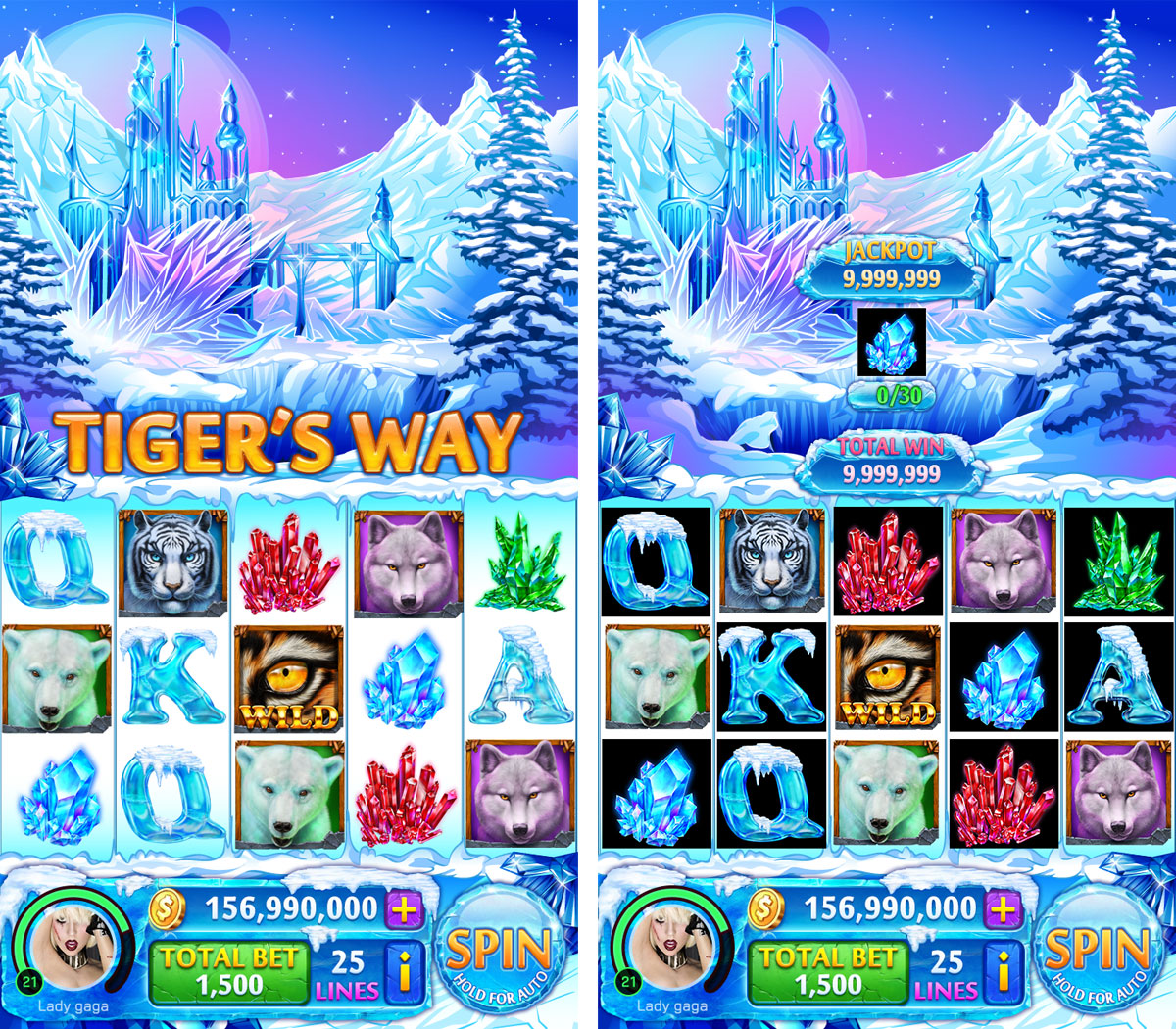 Tigers way blog reels