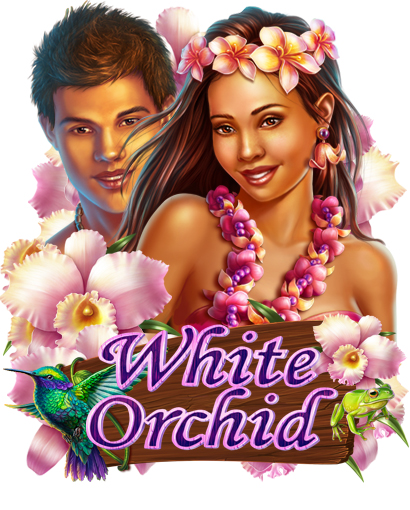 White Orchid