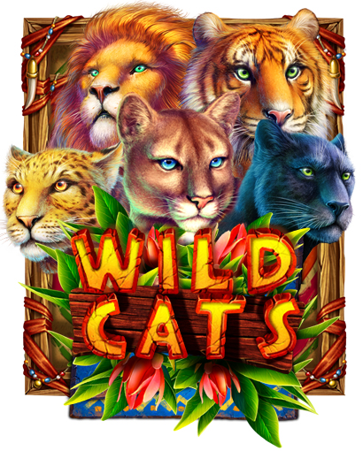Wild Cats