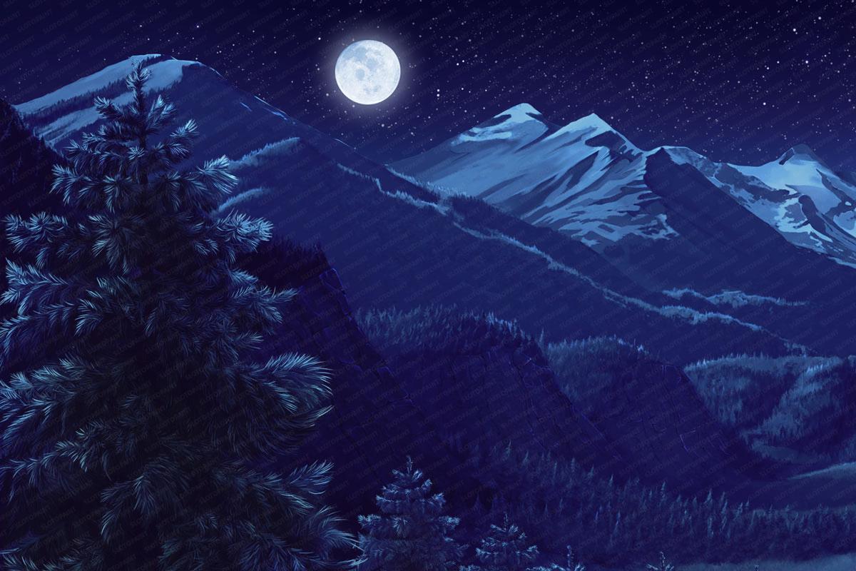 Wildlife Kingdom - Image 4