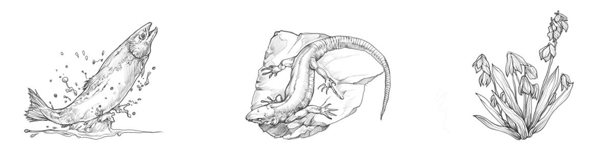 symbols-mid-sketches