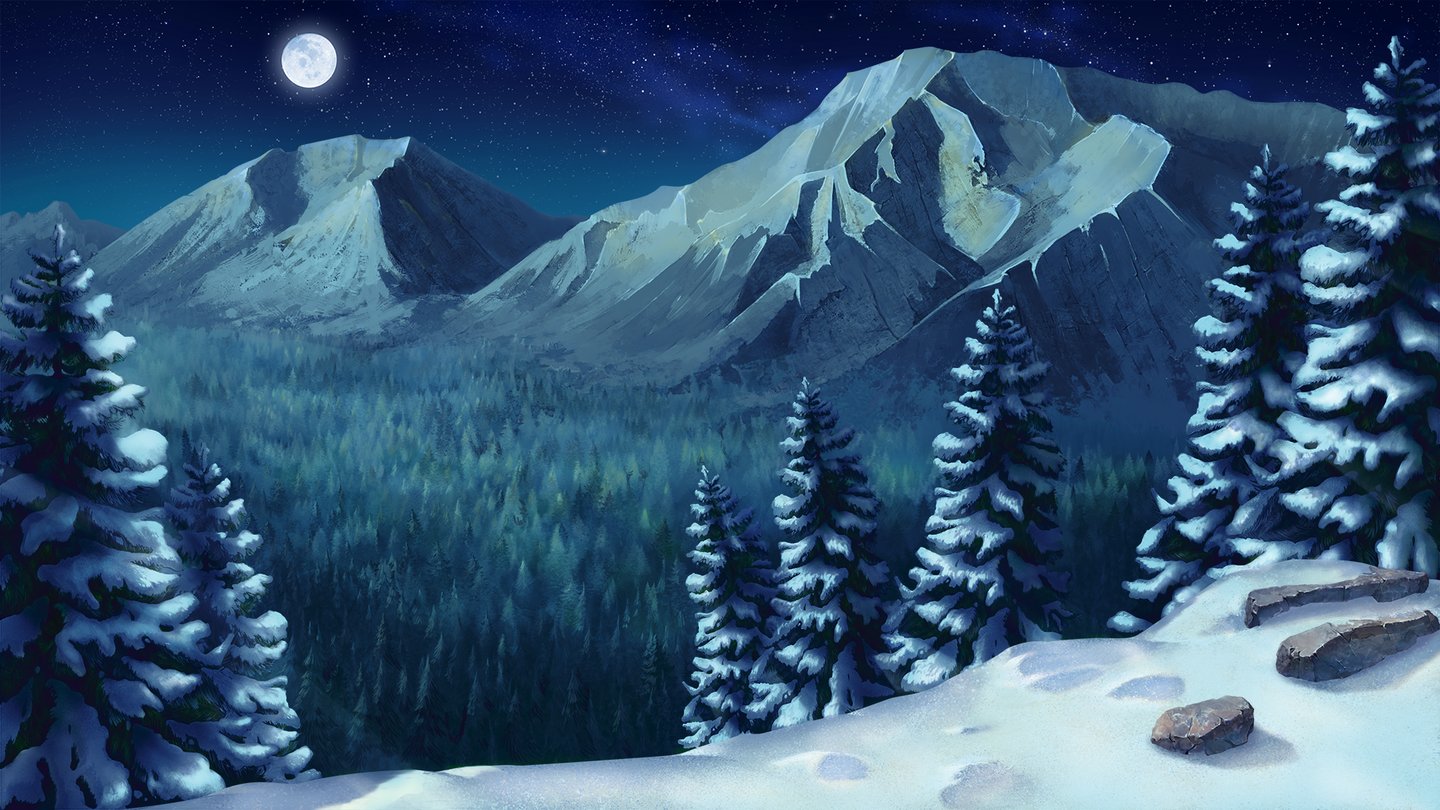 Siberian Tiger Background Night